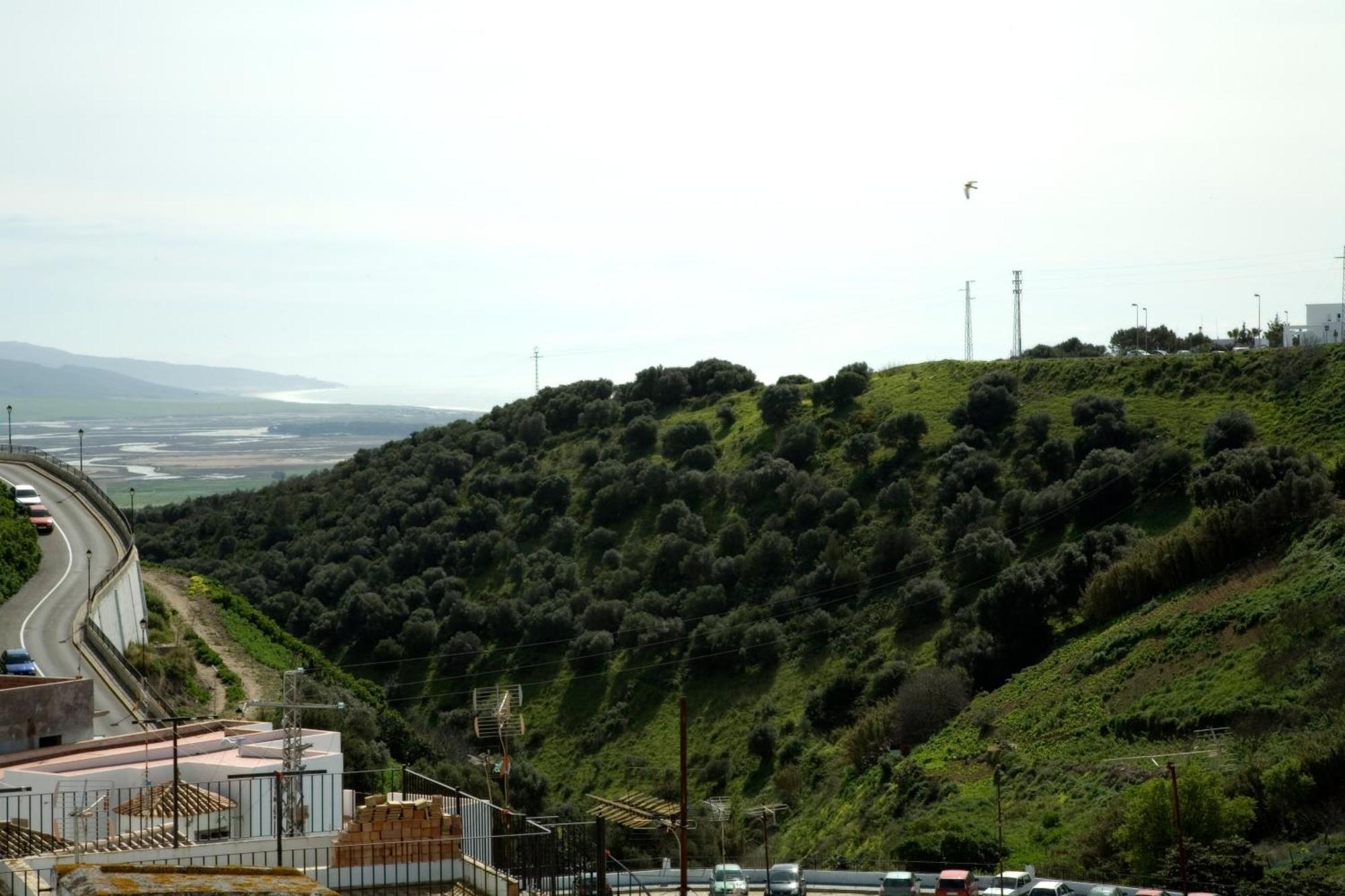 Apartamentos Reysan Vejer de la Frontera Zewnętrze zdjęcie